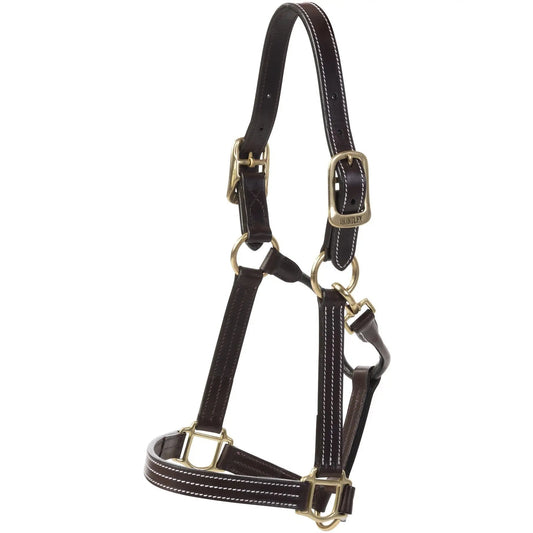 Huntley Equestrian Premium Leather Triple Stitched Halter with Snap