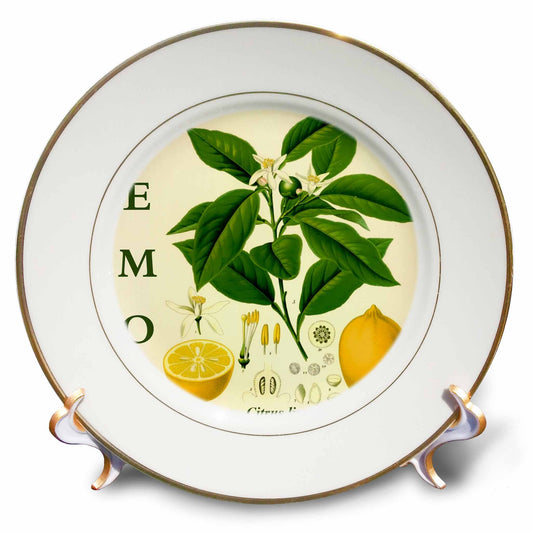 3dRose Lemon Kitchen Art - Citrus Fruit Tree Leaves Flowers Plant Print - Plates (cp-365429)