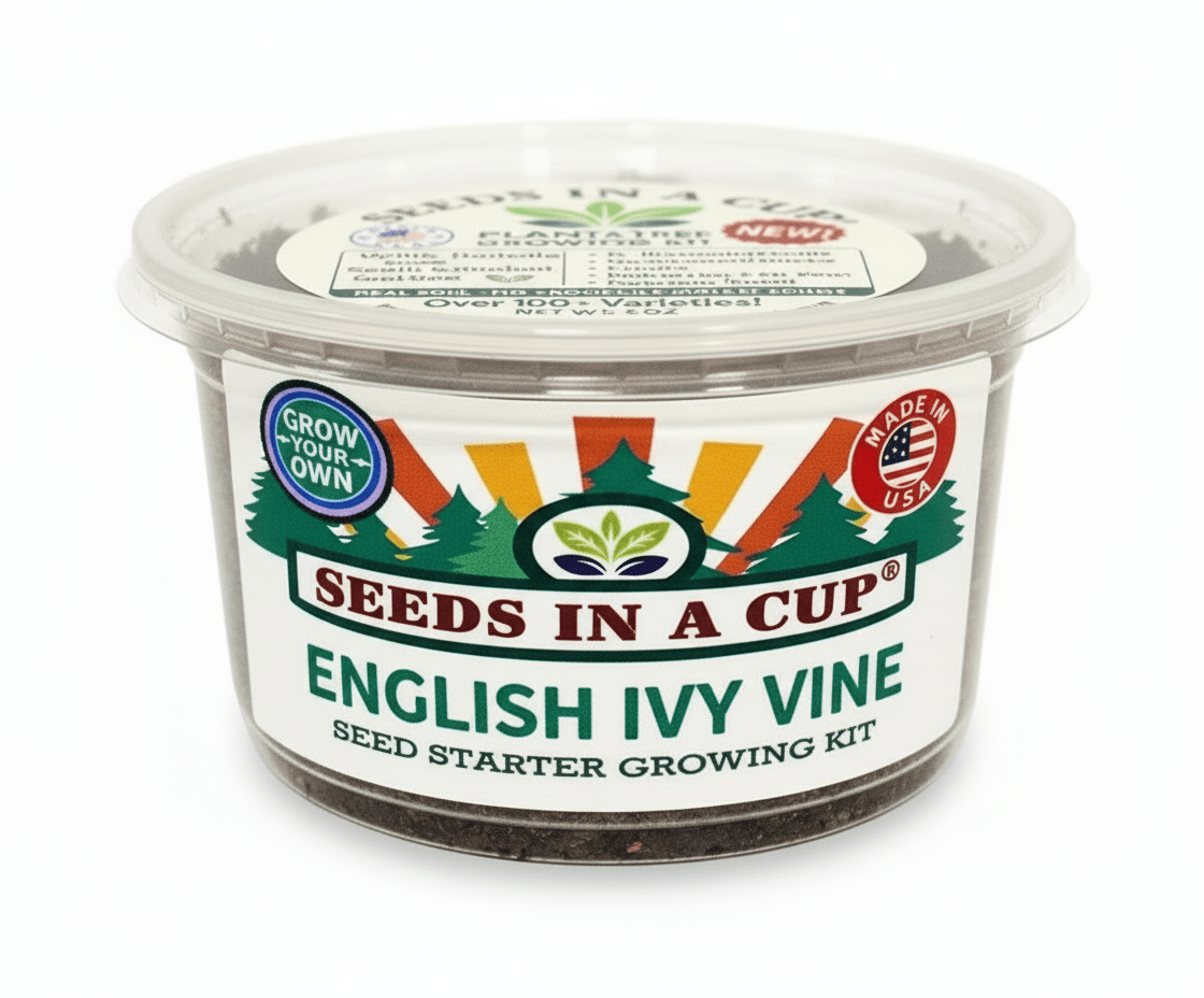 Celery Grow Kit | Seeds In A Cup®