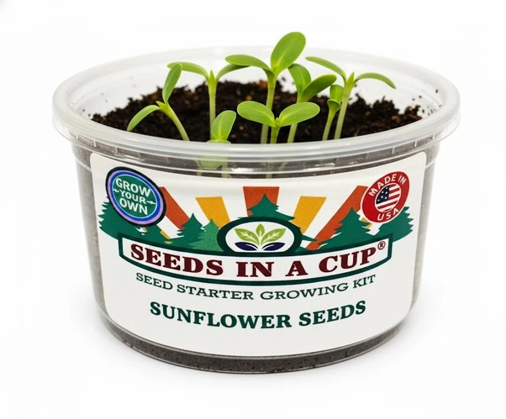 Sunflower Grow Kit | Seeds In A Cup®