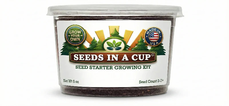 American Holly Grow Kit | Seeds In A Cup®