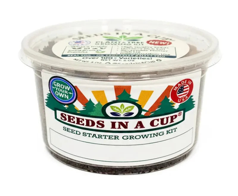 American Holly Grow Kit | Seeds In A Cup®